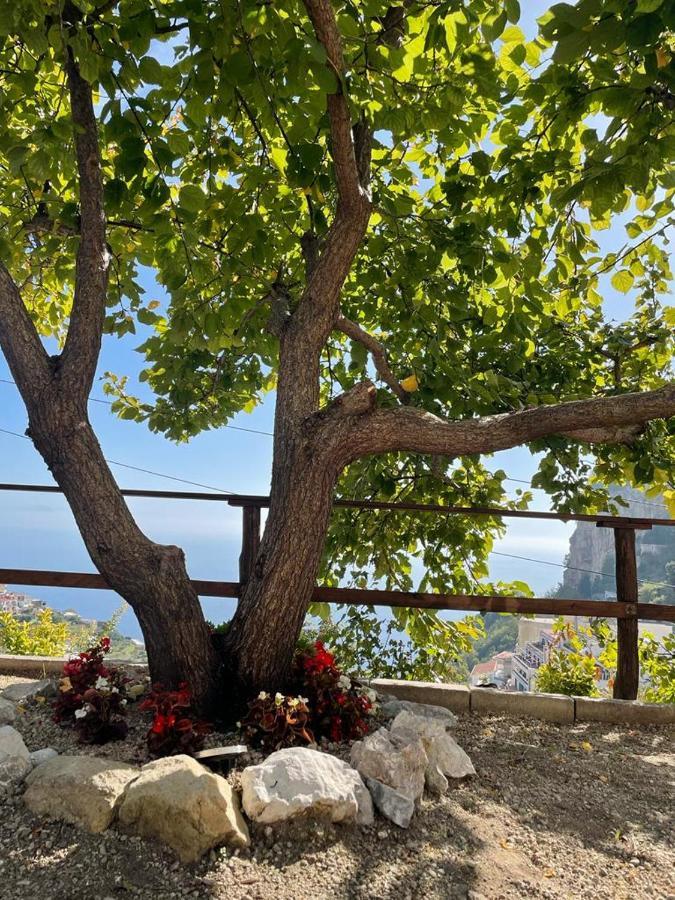Apartmán Casa Enzo Con Vista Mare Amalfi Exteriér fotografie